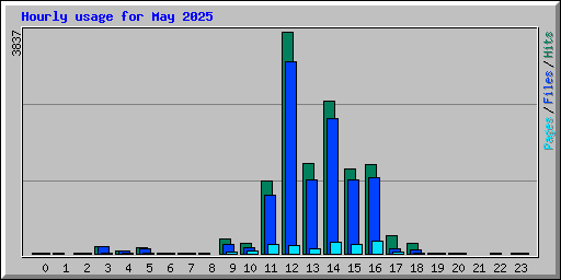 Hourly usage for May 2025